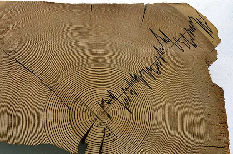 Tree_Ring.jpg