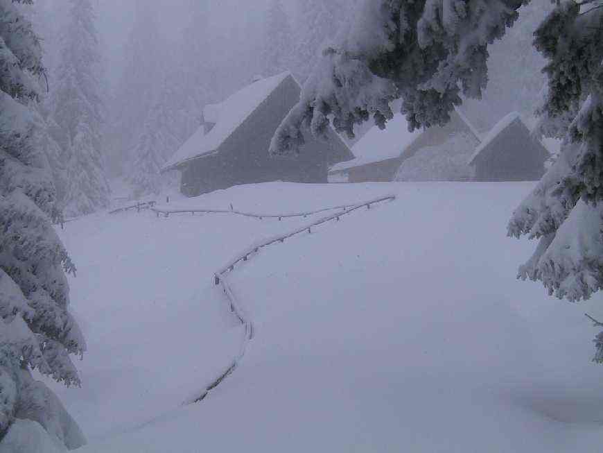 B�rentalalm (1650m)