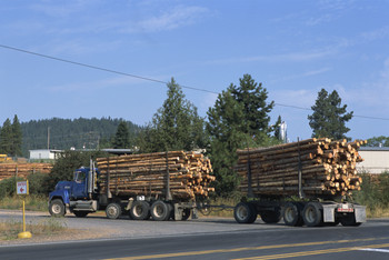 mit Holz beladener LKW / Quelle: &copy; Jupiterimages