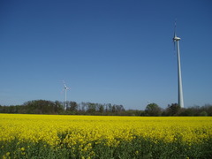 Windturbinen zur Energiegweinnung / Quelle: &copy; ZAMG