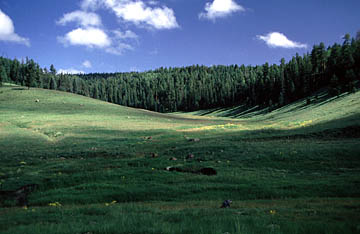 Naturlandschaft Naturlandschaft