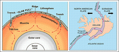 Treibender Mechanismus der kontinentalen Plattenbewegung sowie der Mittelatlantische Rücken und das Auseinenderdriften der Nordamerikanischen Platte mit der Eurasischen Platte