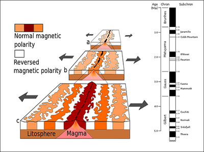 Magnetostratigraphie an der Ozeanischen Kruste. © USGS