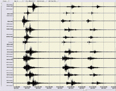 Seismogramme der drei verspürten Erdbeben innerhalb von 7 Minuten in Saalfelden am 20. November 2011