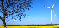 Windenergiegutachten