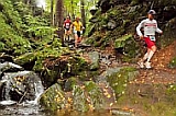 Wörthersee-Trail