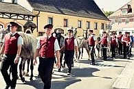 Lipizzaner Almabtrieb