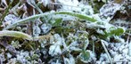 Frost im April: einige Rekorde