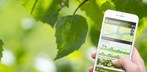 Neue App „Naturkalender ZAMG“