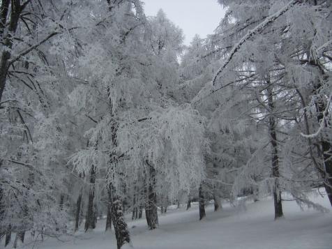 Ungewöhnlich winterlicher Frühling: In ganz Österreich Schnee und im Osten und Süden frostig