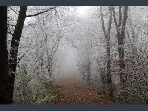 Gefrierender Regen und Raureif: Ende in Sicht