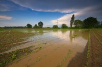 Extremer Dauerregen geht zu Ende