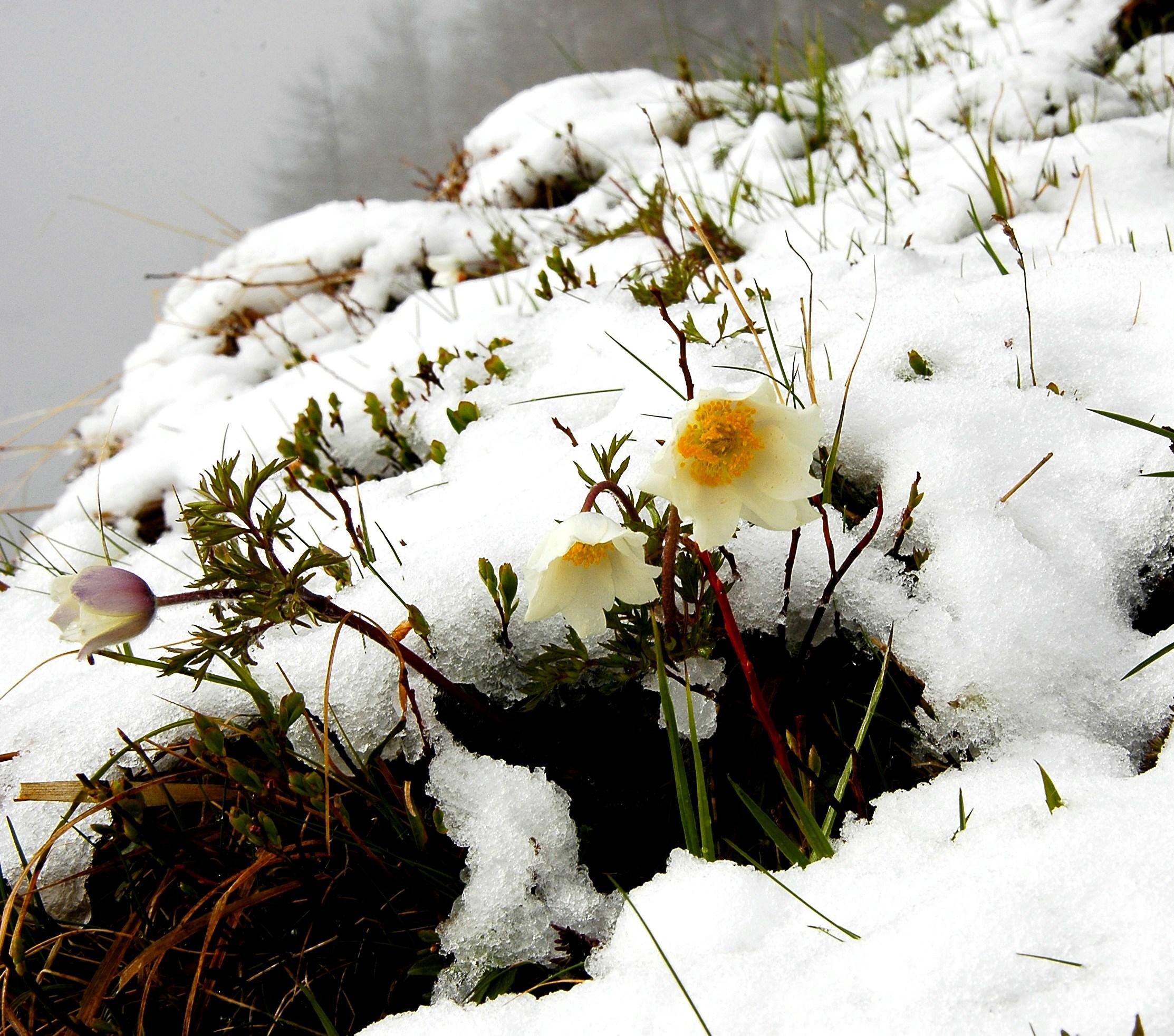 Kühles Wochenende und Schnee bis in die Täler