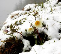 Kühles Wochenende und Schnee bis in die Täler