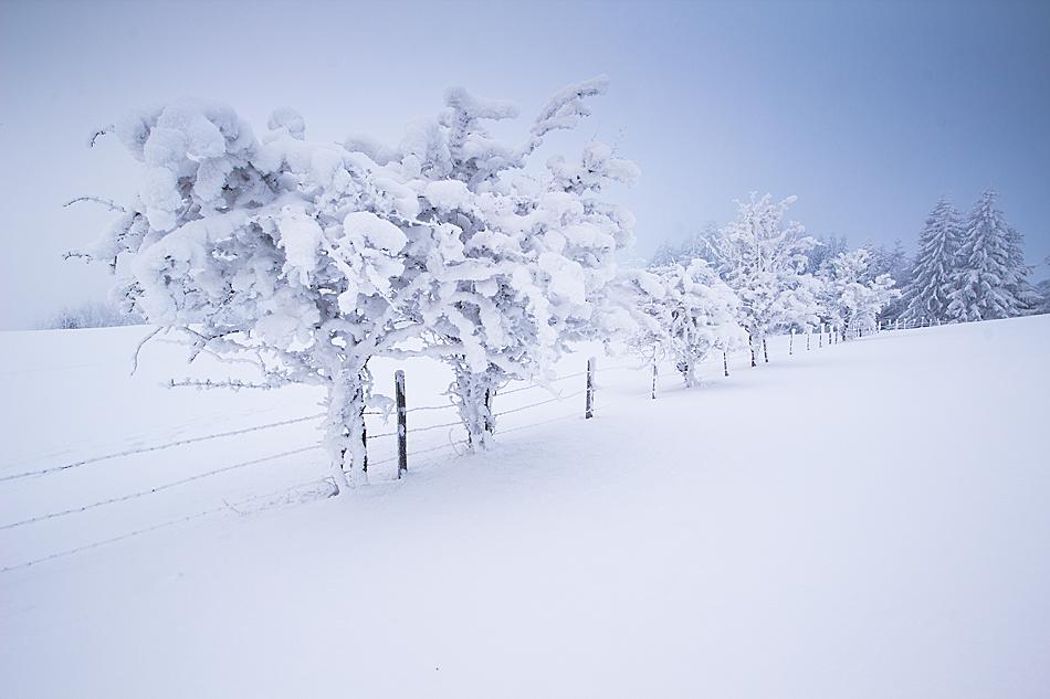  Schnee- und Regenwarnung - Update 