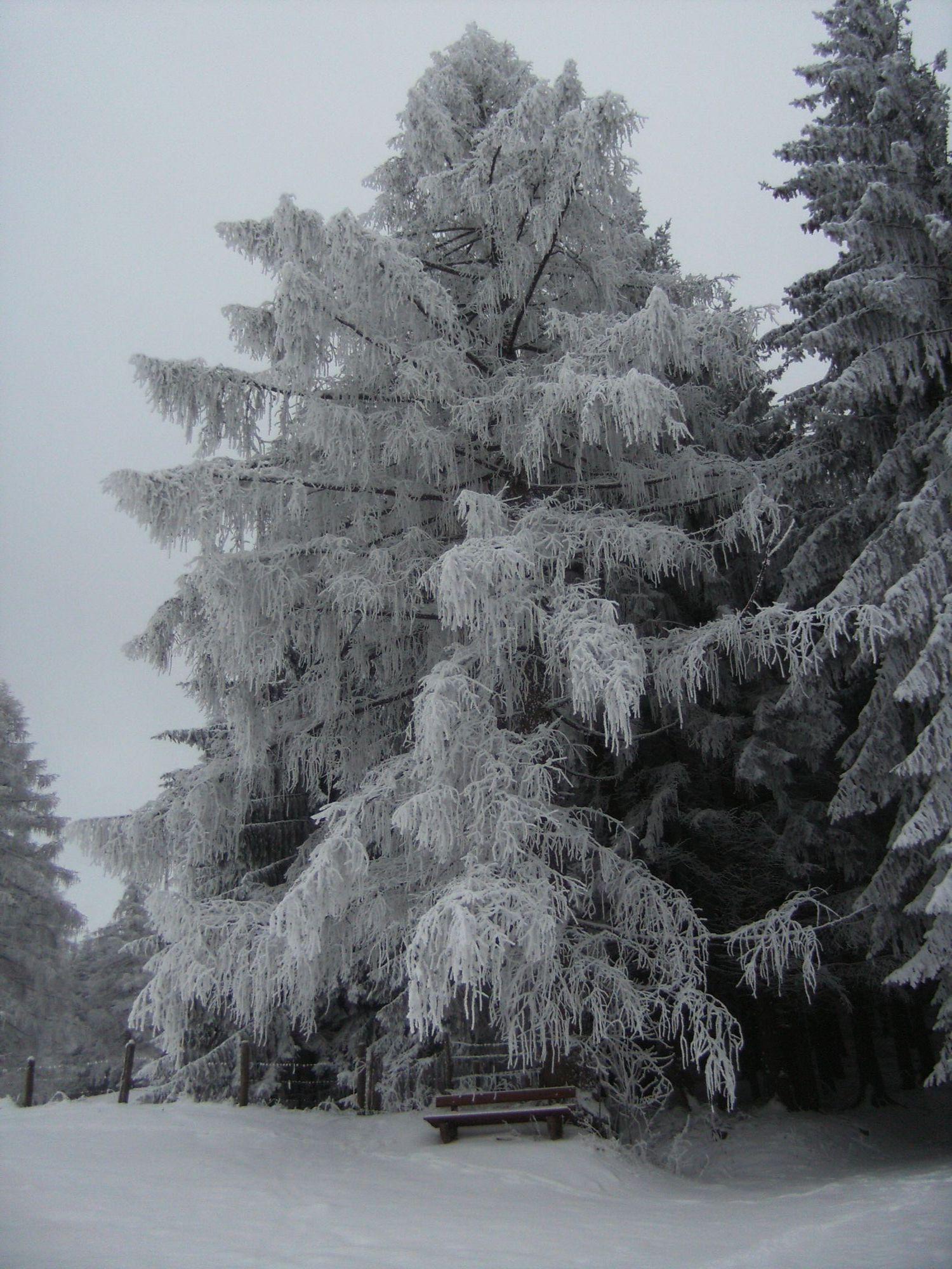 Schnee, Wind und Kälte