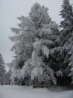 Schnee, Wind und Kälte