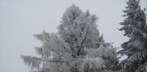 Wochenende: Kalt und stellenweise Schnee