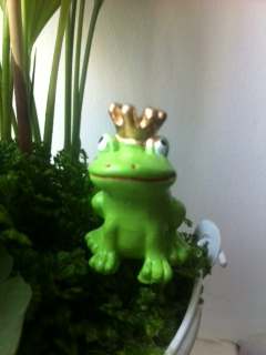 weather frog (c) Verena